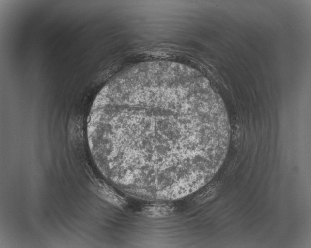 X0000081570466200702121426