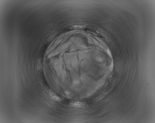 X0000081570467200702121426