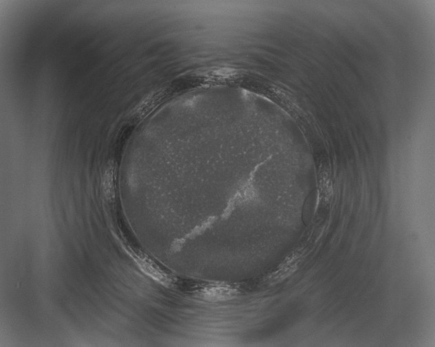 X0000081570468200702121426