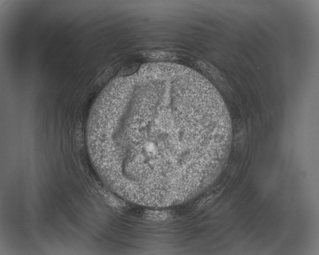 X0000081570469200702121426