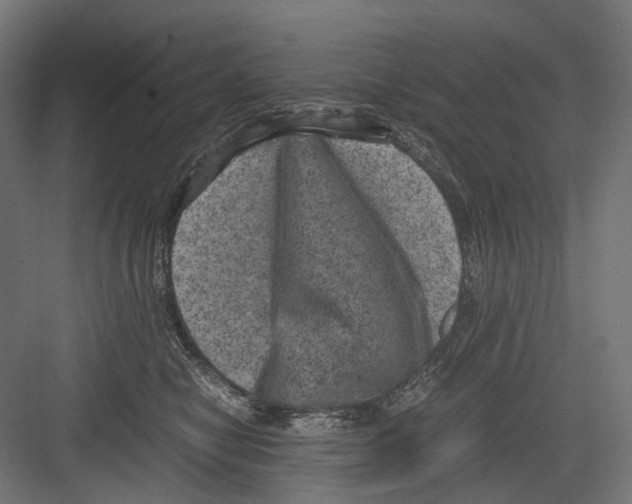 X0000081570470200702121426