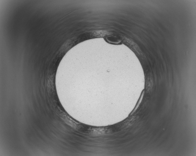 X0000081570473200702121426