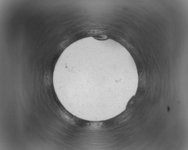 X0000081570474200702121426