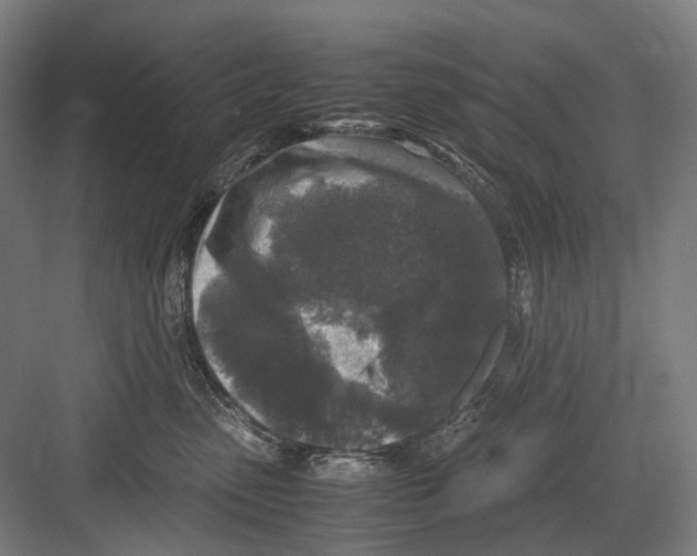 X0000081570475200702121426