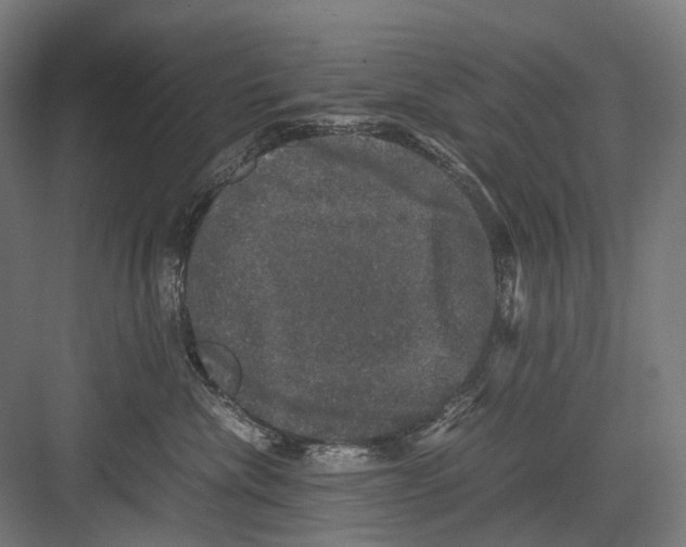 X0000081570476200702121426