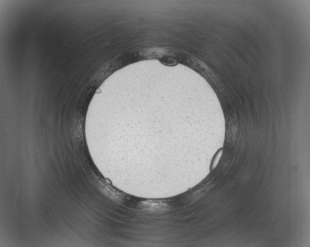 X0000081570477200702121426