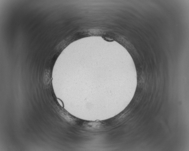 X0000081570478200702121426