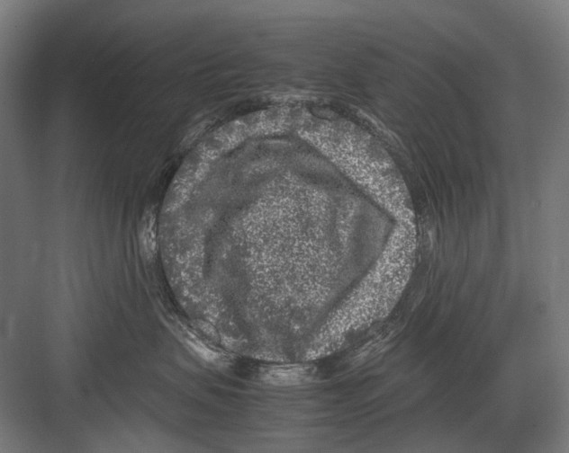 X0000081570479200702121426