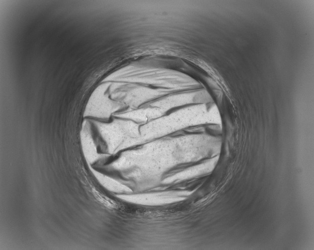 X0000081570481200702121426