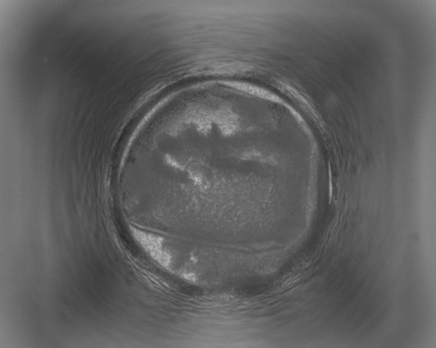 X0000081570483200702121426