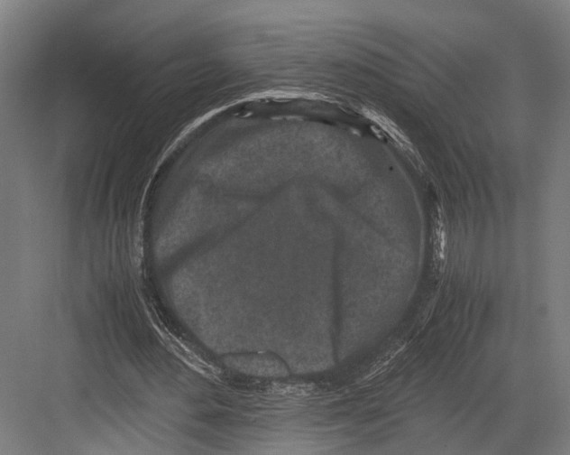 X0000081570484200702121426