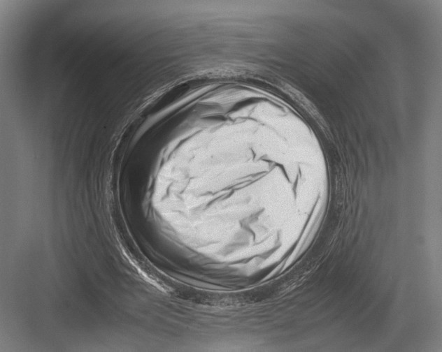 X0000081570485200702121425