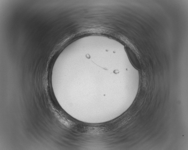 X0000081570486200702121425