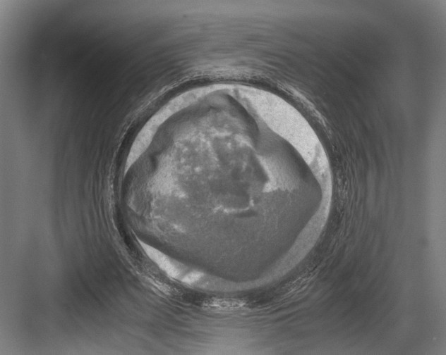 X0000081570487200702121425