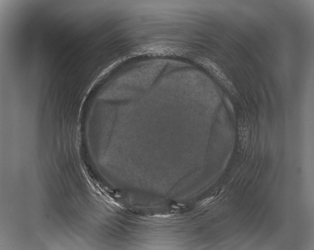 X0000081570488200702121425