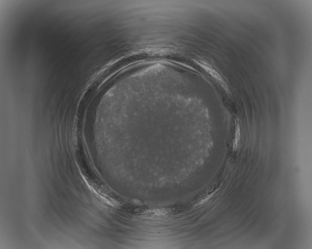 X0000081570492200702121425