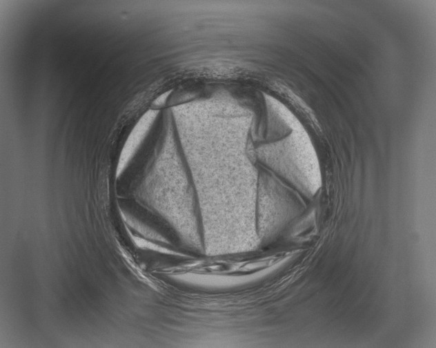 X0000081570493200702121425