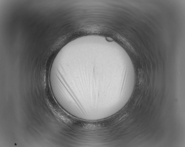 X0000081570494200702121425