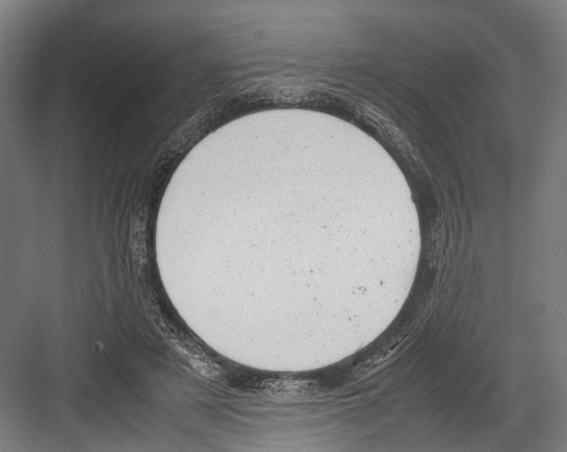 X0000081570497200702121425