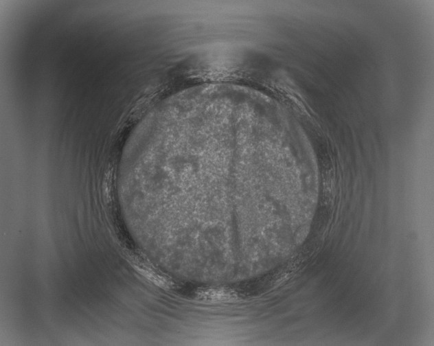 X0000081570503200702121425