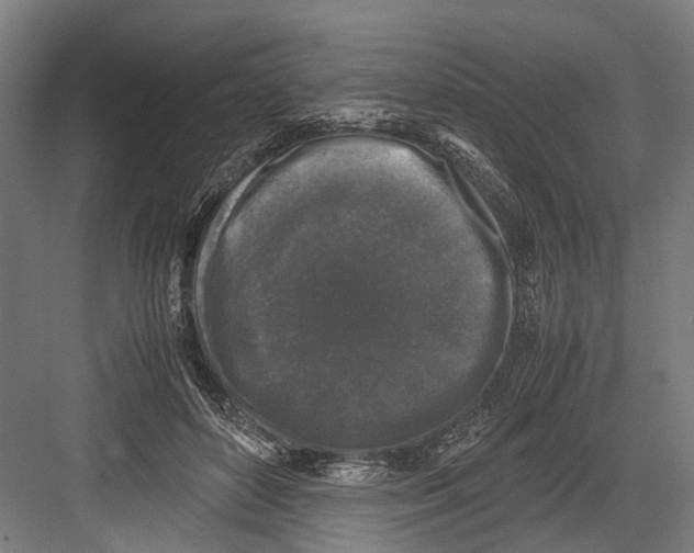 X0000081570504200702121425