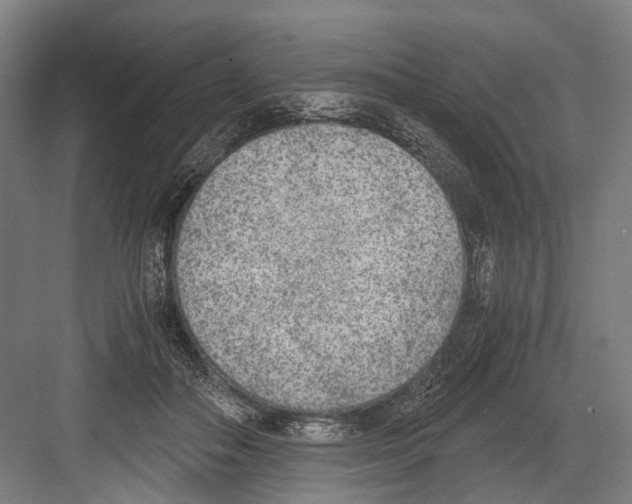 X0000081570506200702121425