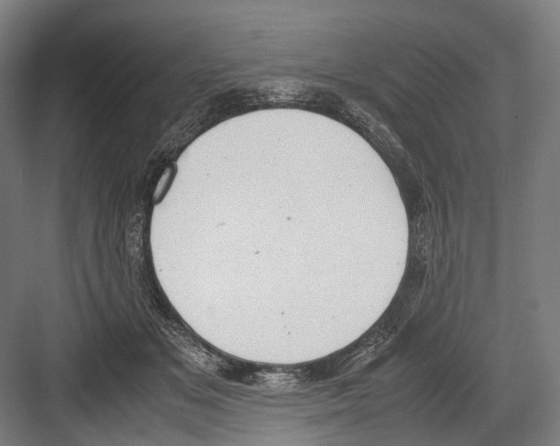 X0000081570509200702121425