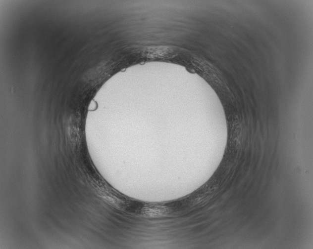 X0000081570510200702121425