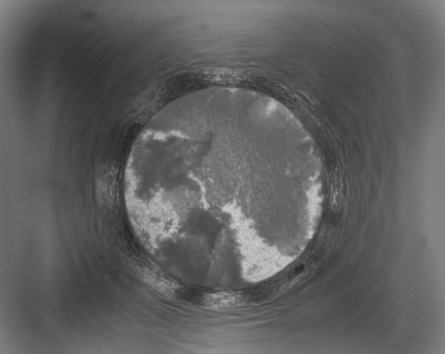 X0000081570511200702121425