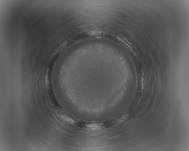 X0000081570516200702121425