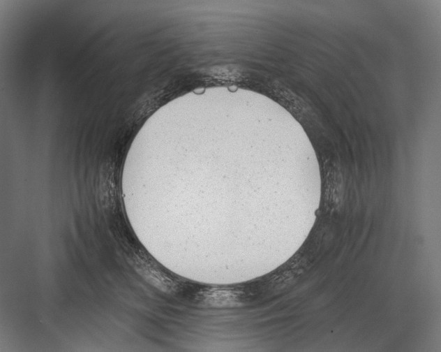 X0000081570518200702121425