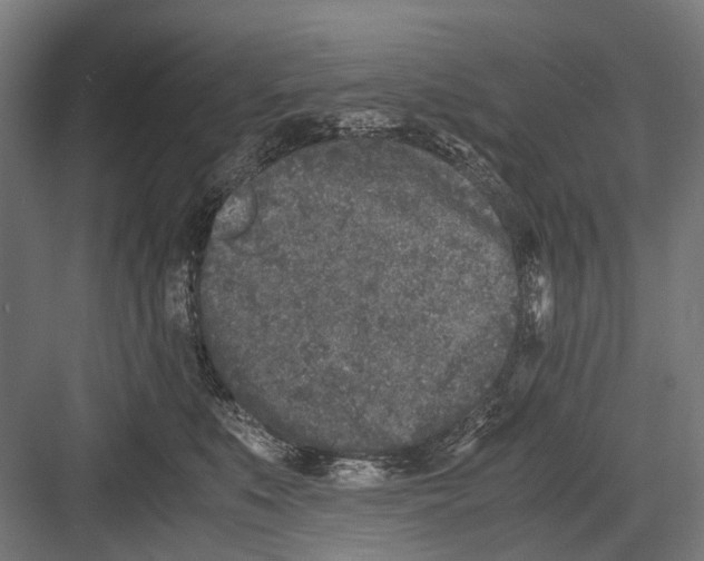 X0000081570519200702121425