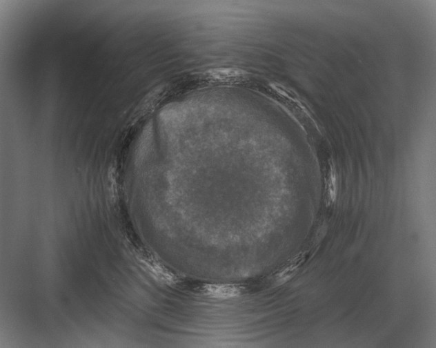 X0000081570520200702121425