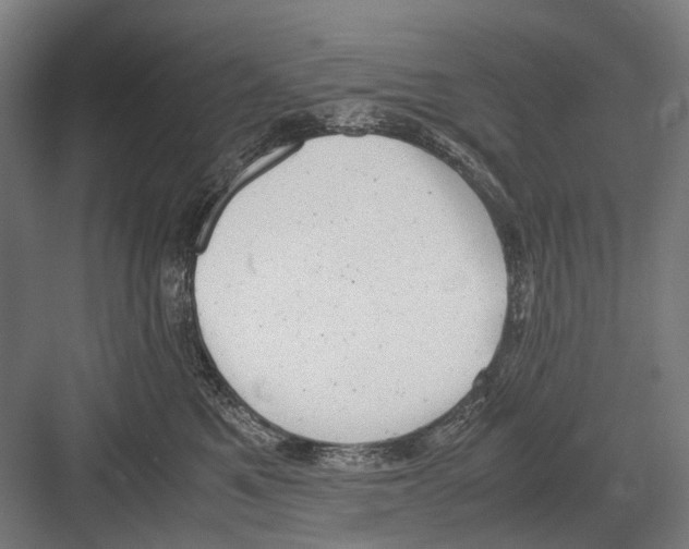 X0000081570521200702121425