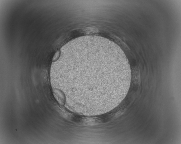 X0000081570523200702121425