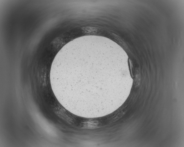 X0000081570525200702121425