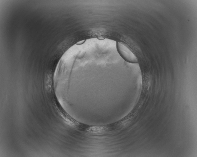 X0000081570526200702121425