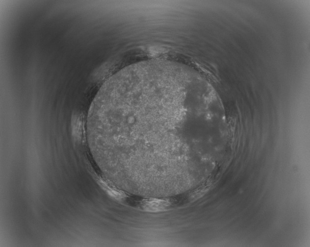 X0000081570527200702121425