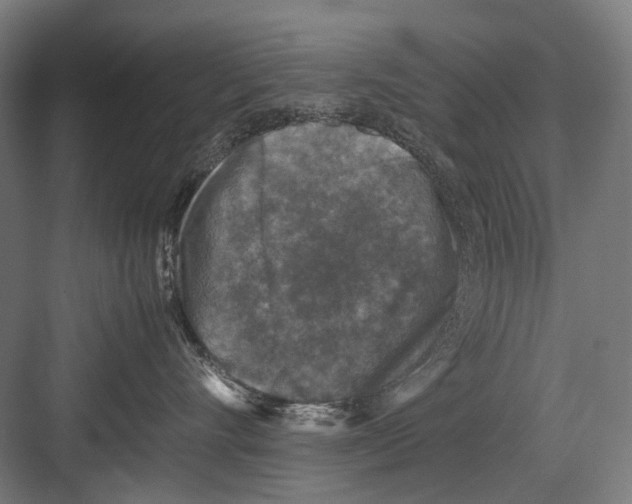 X0000081570528200702121425