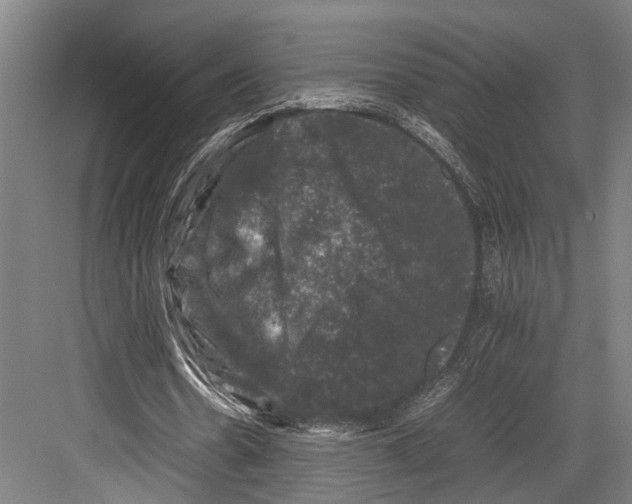 X0000081570530200702121424