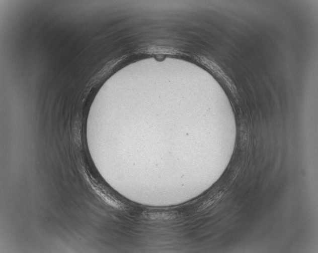 X0000081570533200702121424