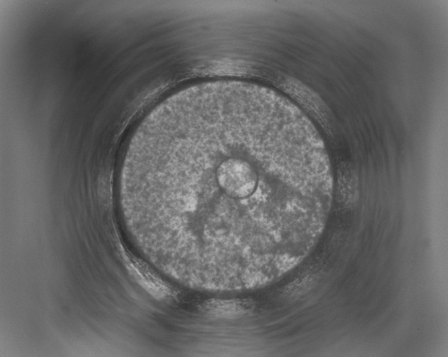 X0000081570534200702121424