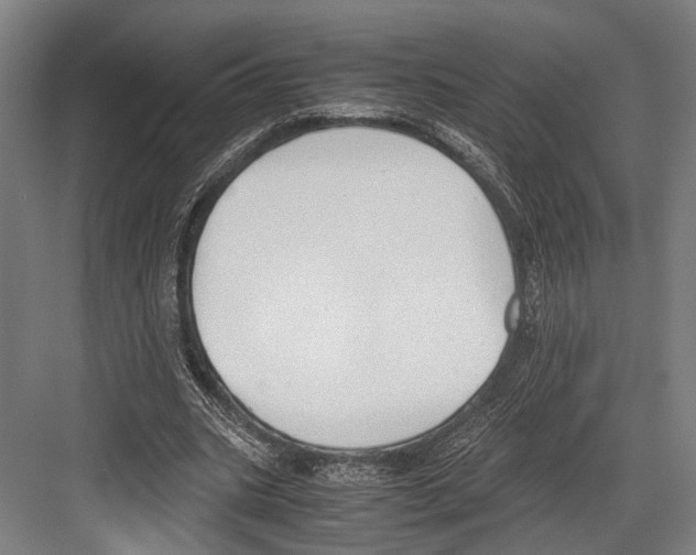 X0000081570535200702121424