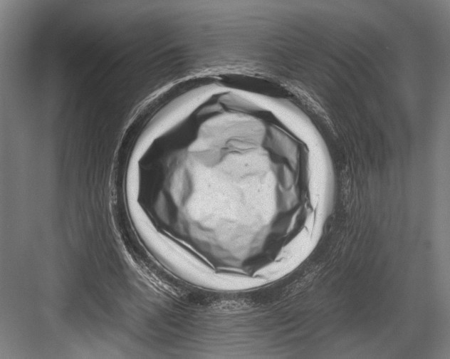 X0000081570536200702121424