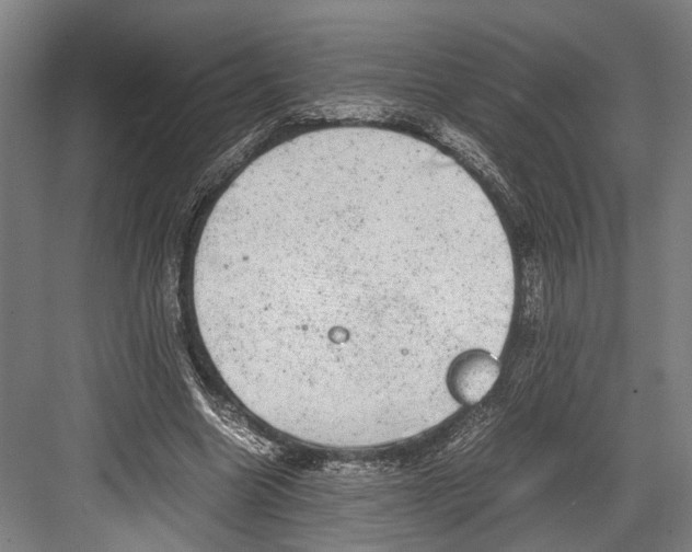 X0000081570538200702121424