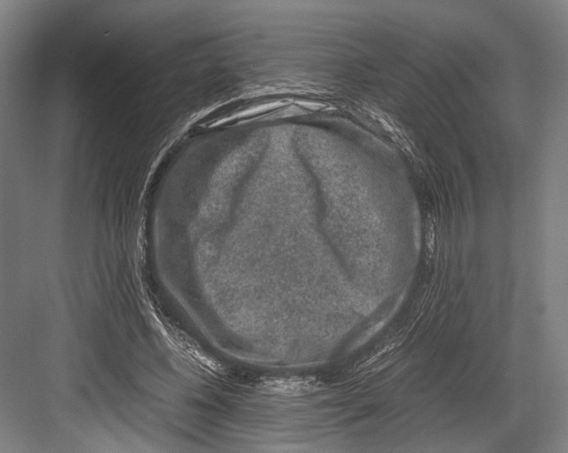 X0000081570540200702121424