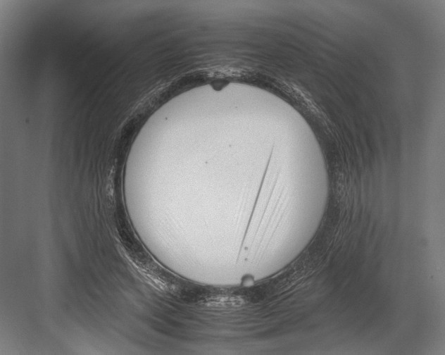 X0000081570543200702121424