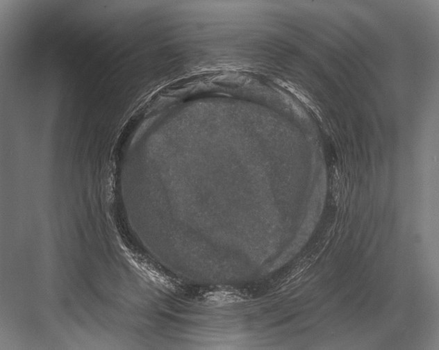 X0000081570544200702121424