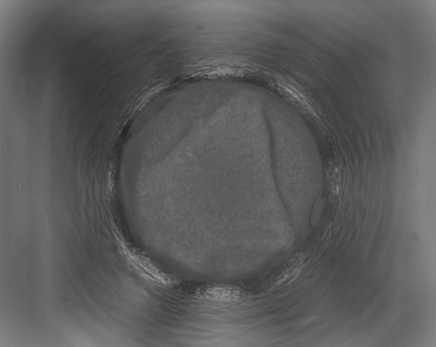 X0000081570546200702121424