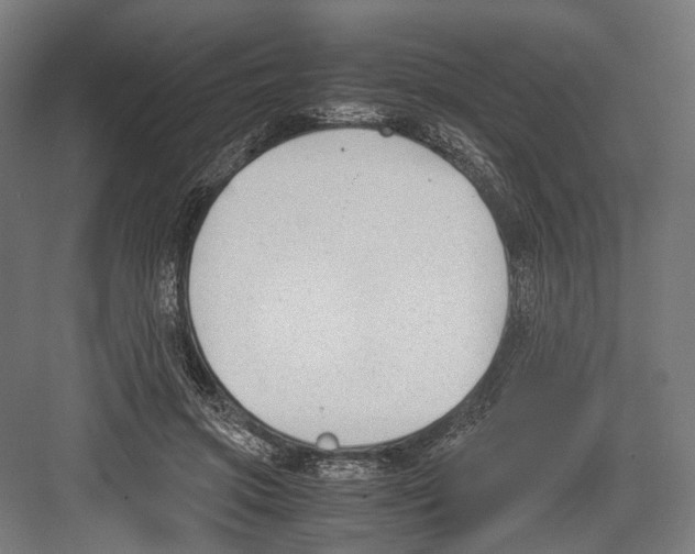 X0000081570549200702121424